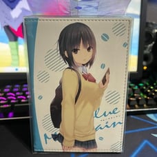 Deck box book type W E*2 Coffee Kizoku Blue Mountain