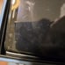 Samsung Galaxy Note 8 ** Pleas read full description !*