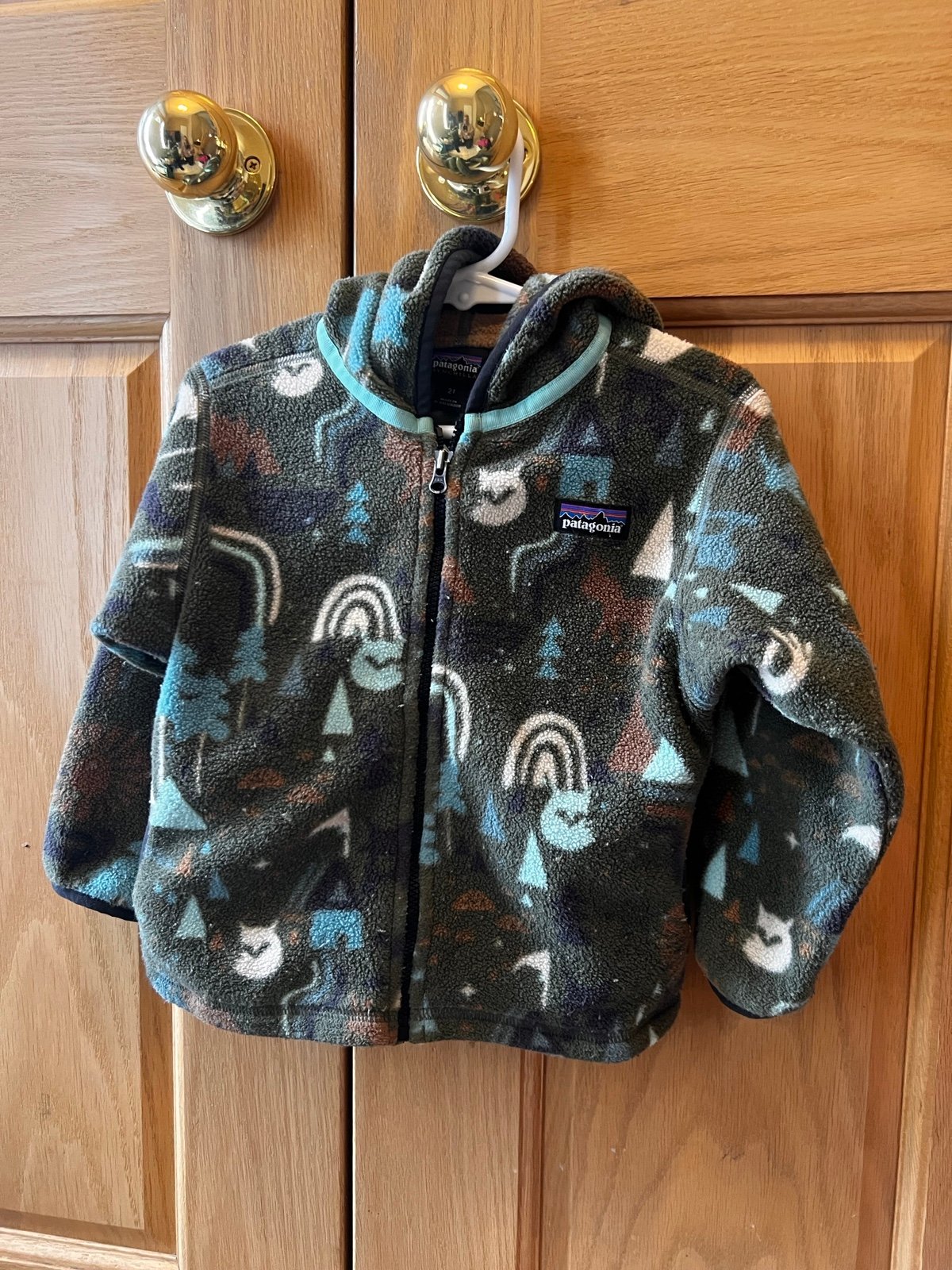 Patagonia toddler fleece jacket