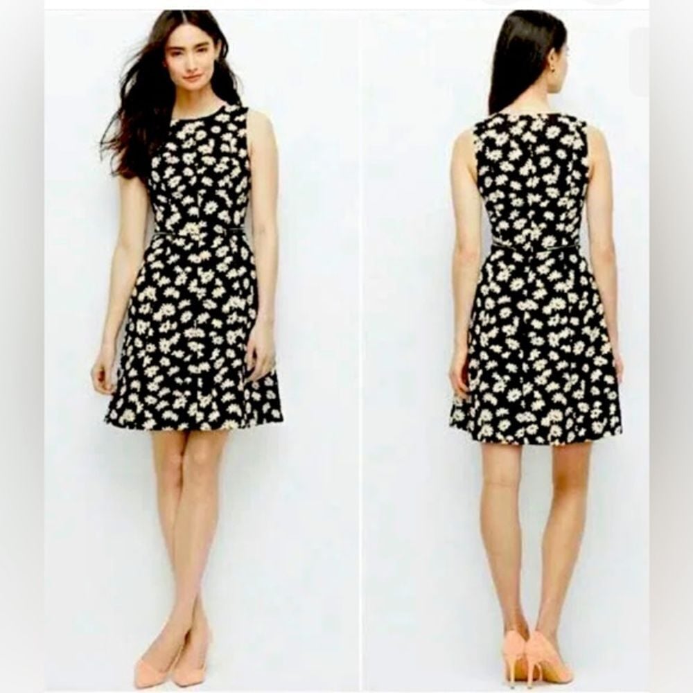 Ann Taylor Black & White Daisy Floral Print Fit and Flare Dress Feminine Size 12