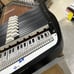 Autoharp Oscar Schmidt 15 Chord 36 String + Case ED Guitar Accordion ED15 Harp