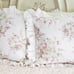 NEW simply shabby chic Rachel Ashwell pillow sham set