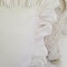 NEW simply shabby chic Rachel Ashwell pillow sham set