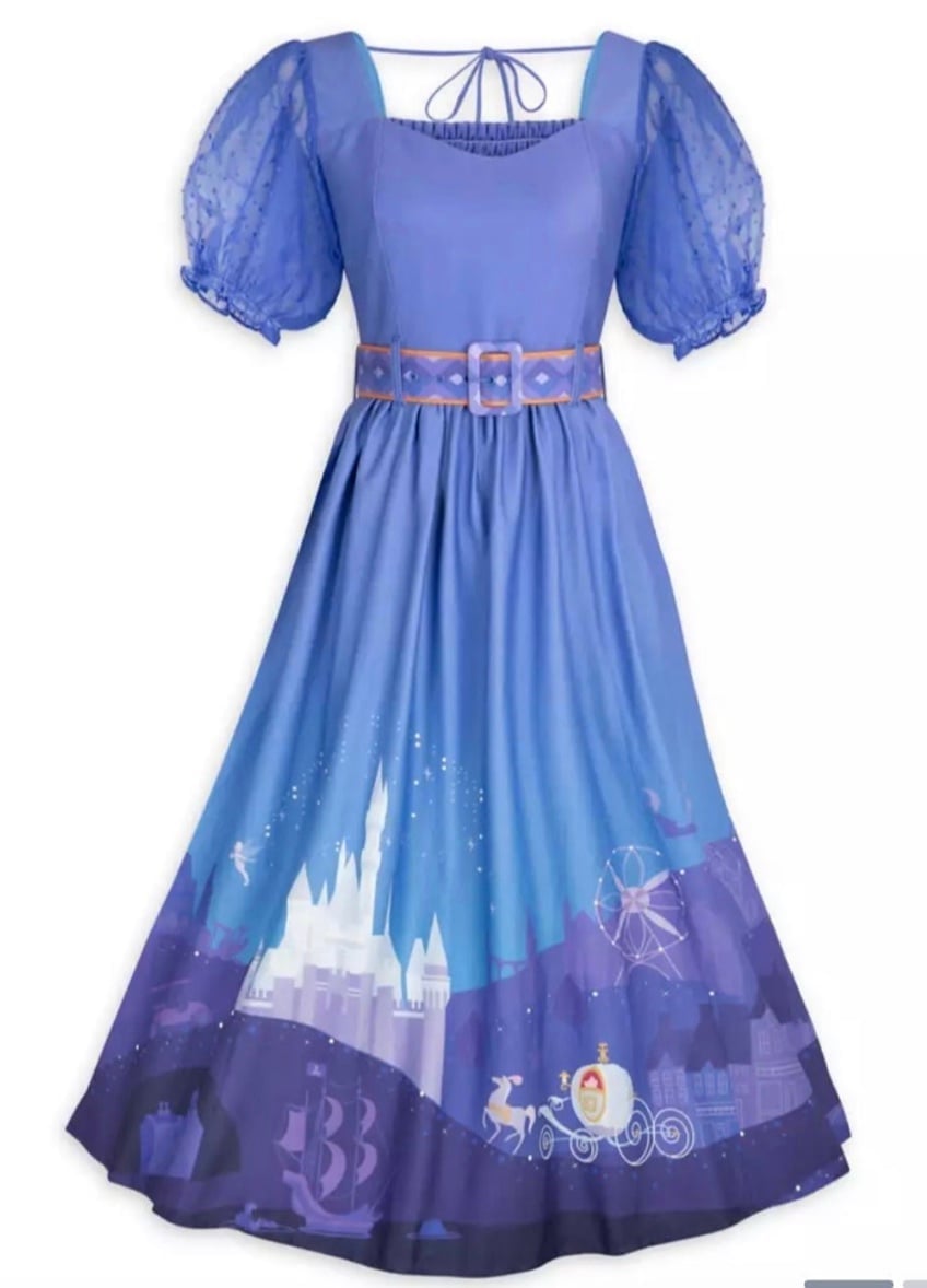 Disney Resorts Ashley Taylor Cinderella Dress NWT L
