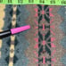 BROOKS BROTHERS Vintage Patterned Turtleneck Sweater 100% Wool Mutli Color Small