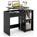 Lift Top Computer Desk Standing Desk w/ Hidden Compartments & Storage Shelves