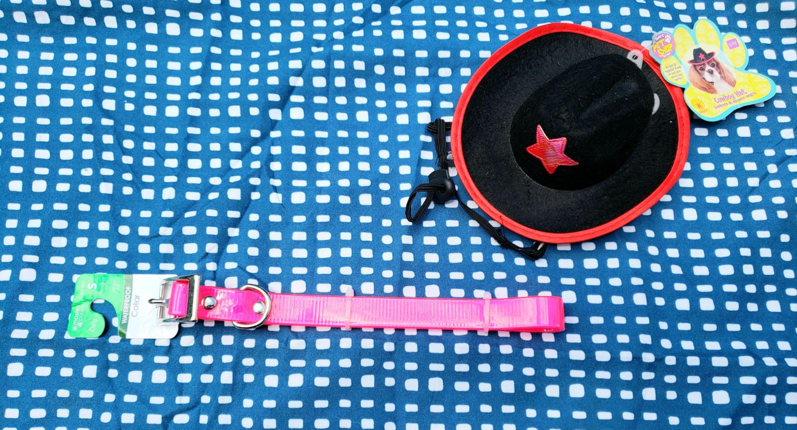 Nwt small metal/hot pink dog collar with