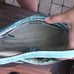 Blue Reptile Pattern Purse