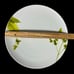 Crate & Barrel Verena Dinner Plate Set Of 3