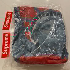 Supreme The North Face Statue of Liberty