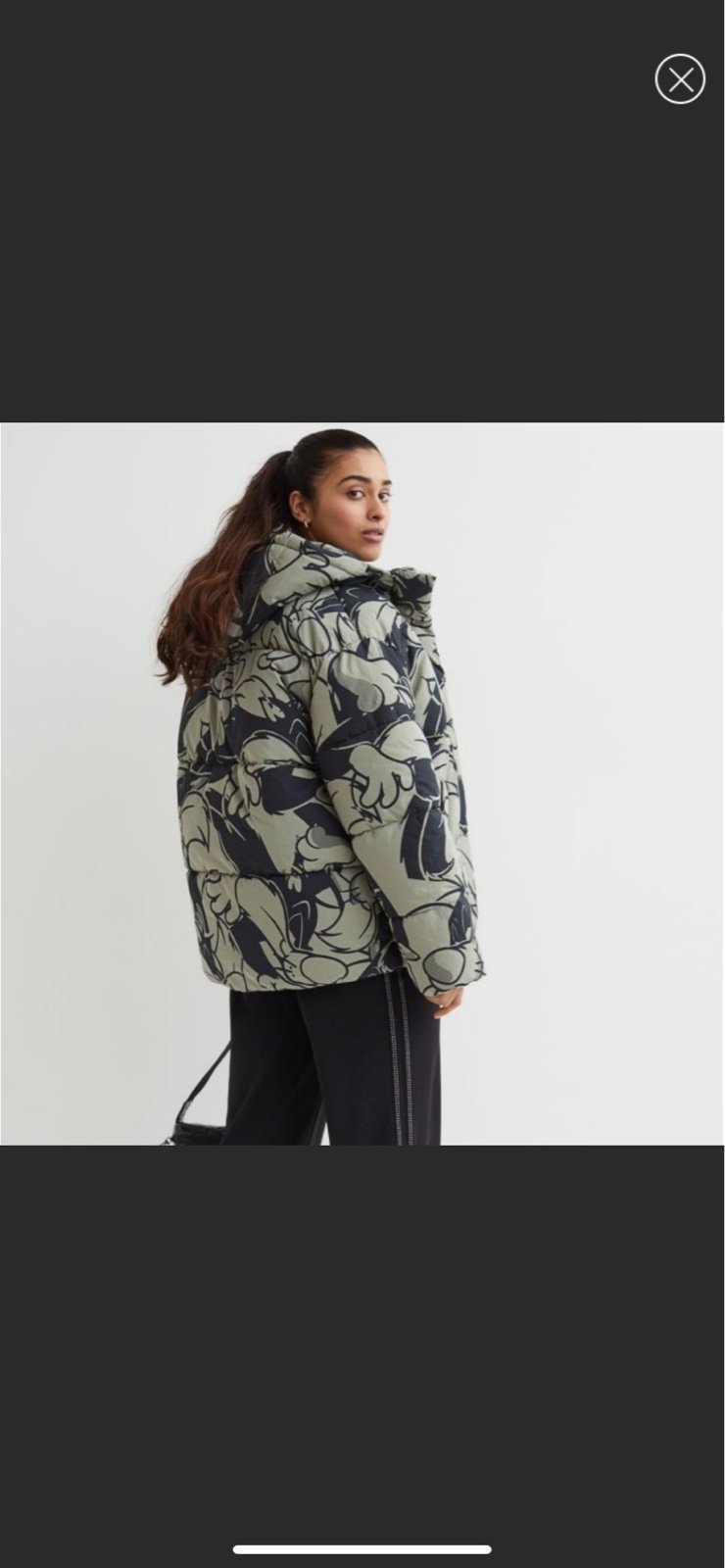 NWT H&M x Warner Bros Looney Tunes Sylvester Ultra Oversized Puffer Small