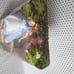 Alice in Wonderland NIB