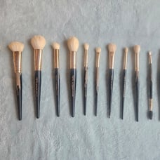 VIEVE Brush Set + Bundle