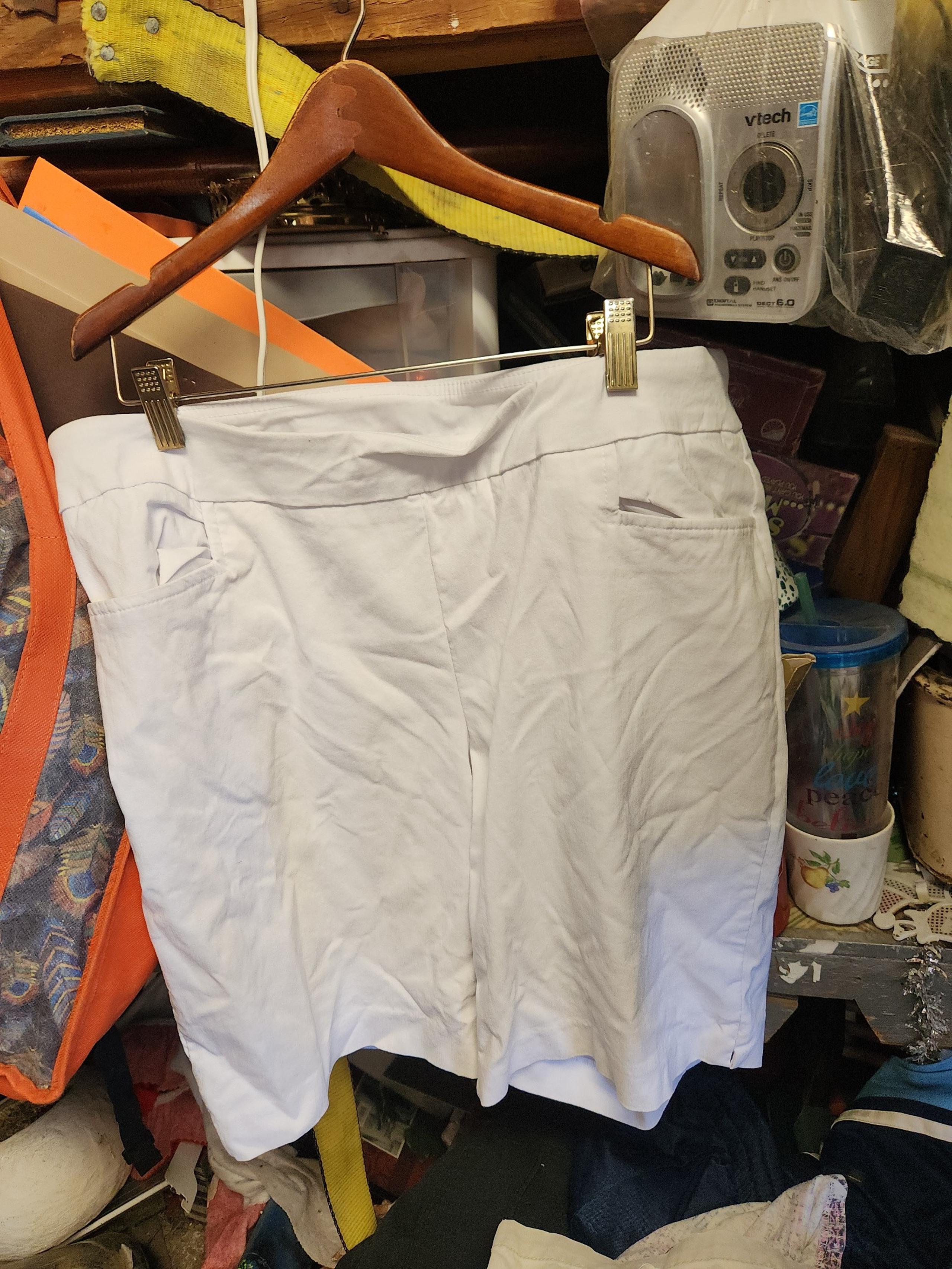 Terra and sky womens shorts size 14w