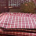 New set of 8 vintage 4 cloth table napkins 4 placemats red and white
