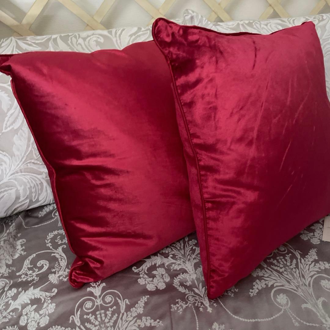 [2 Pieces] Old Laura Ashley Feather Cushion Set - New