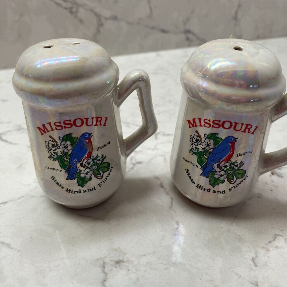 Vintage Lipco Missouri Hawthorns Bluebird & Flower Salt and Pepper Shakers Set