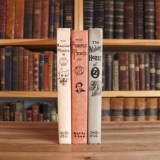 Collection of three vintage Land of Oz children's books from the 1950s