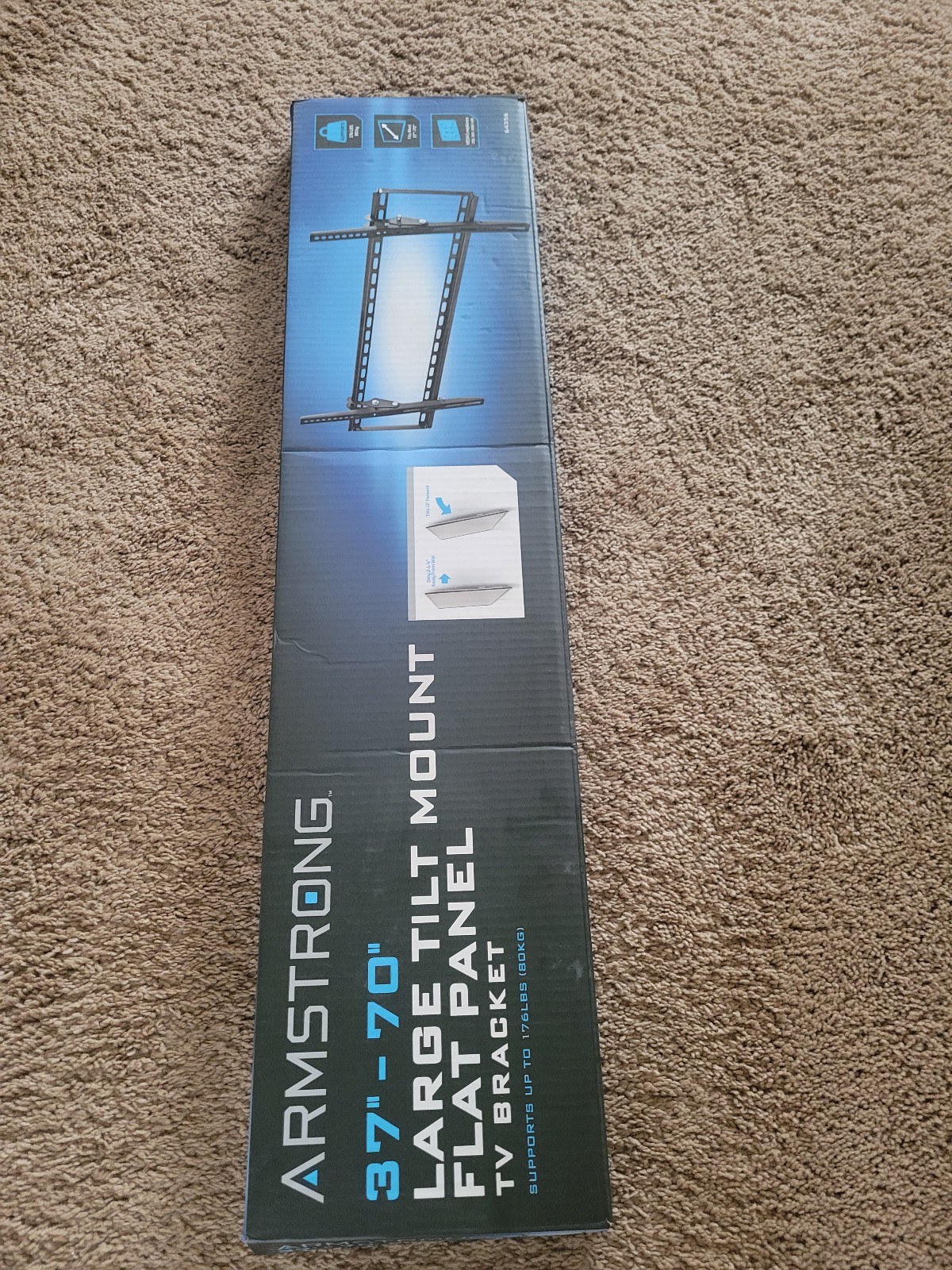 Large TV Mount