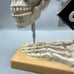 Halloween 2024 Spooky Animated Skeleton Sewing Machine