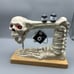 Halloween 2024 Spooky Animated Skeleton Sewing Machine