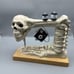Halloween 2024 Spooky Animated Skeleton Sewing Machine