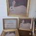 Vintage ornate gold frames with new prints sold separately prices below