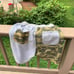 BAPE SHORTS