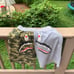 BAPE SHORTS