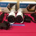 LED Motion Sensor PIR Lights 2 Pack
