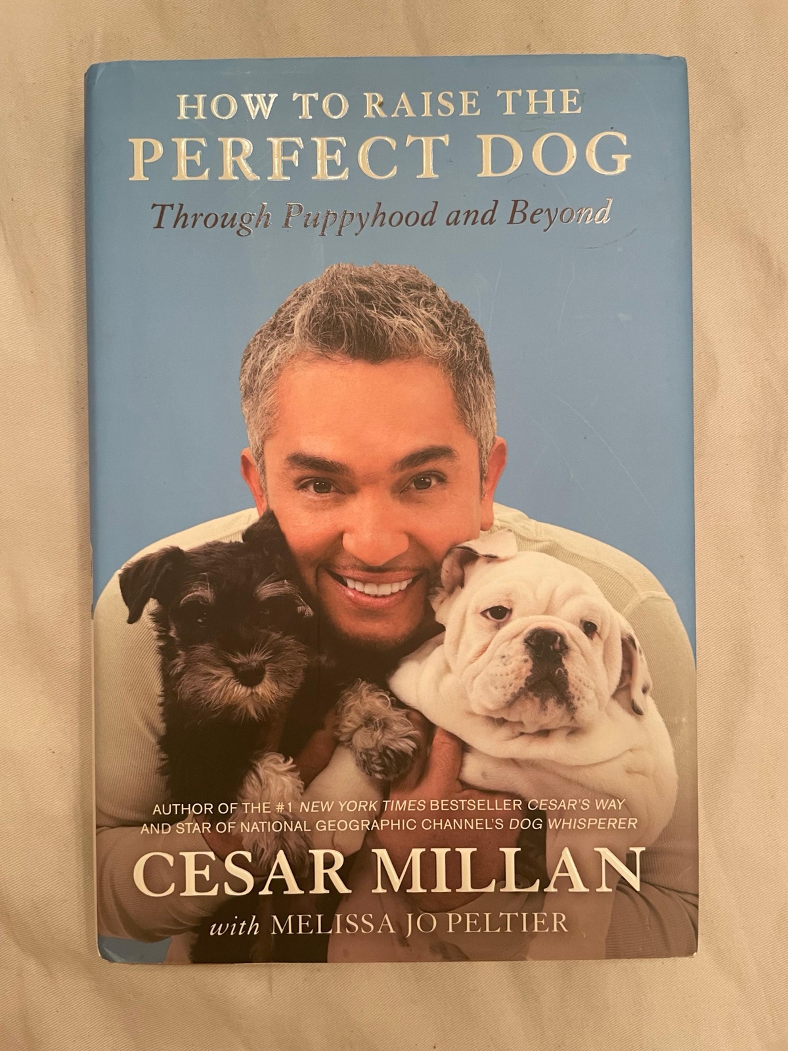 How to Raise the Perfect Dog: Through Puppyhood and Beyond by Cesar Millan
