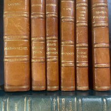 Classic Literature Lot