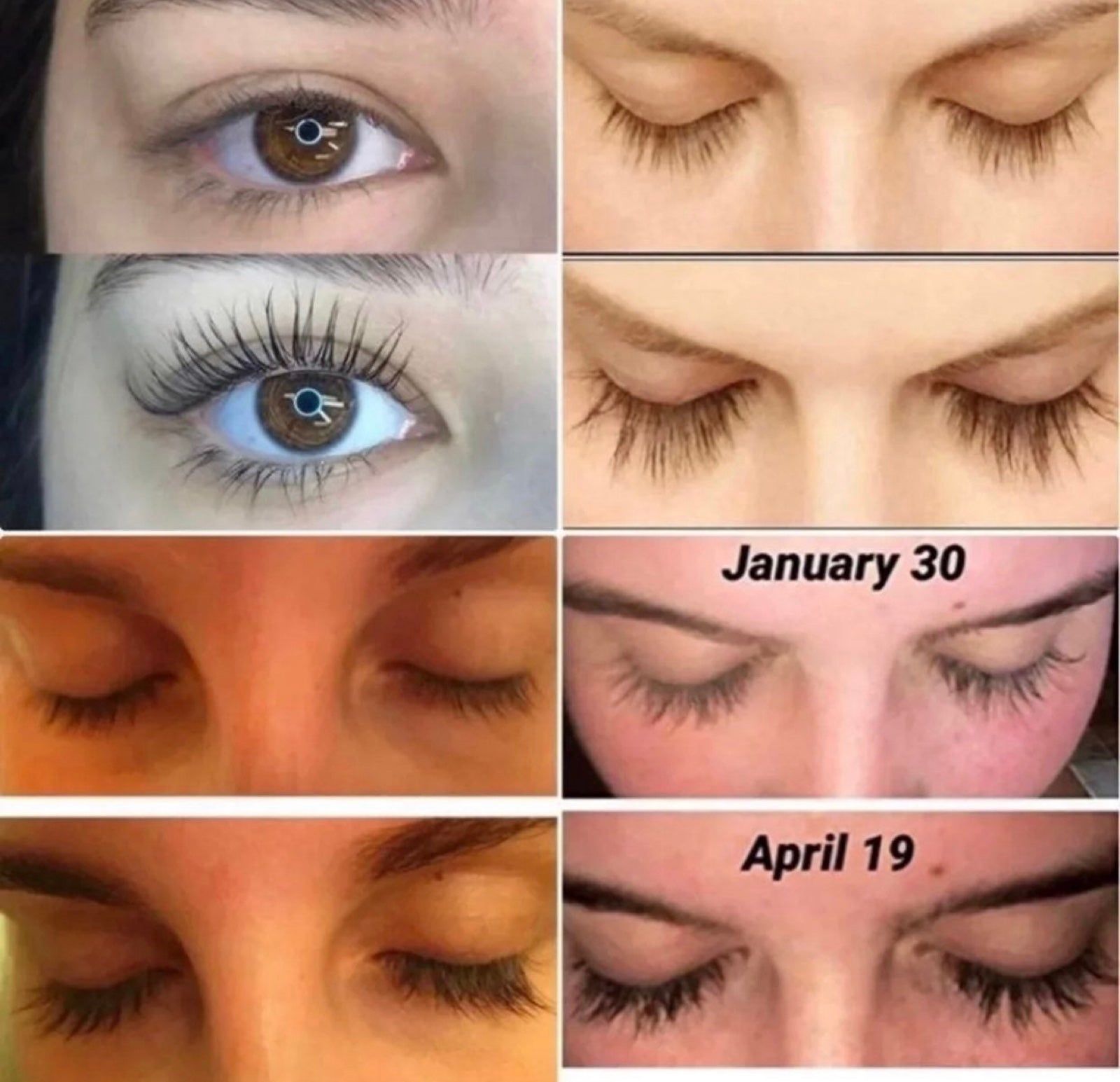 BABE shops LASH Essential Serum & Brow Serum - 3 month supply