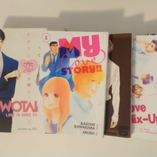 Manga lot