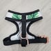 Dog Harness and leash, Pawsitivity size XS