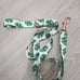 Dog Harness and leash, Pawsitivity size XS