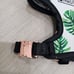 Dog Harness and leash, Pawsitivity size XS