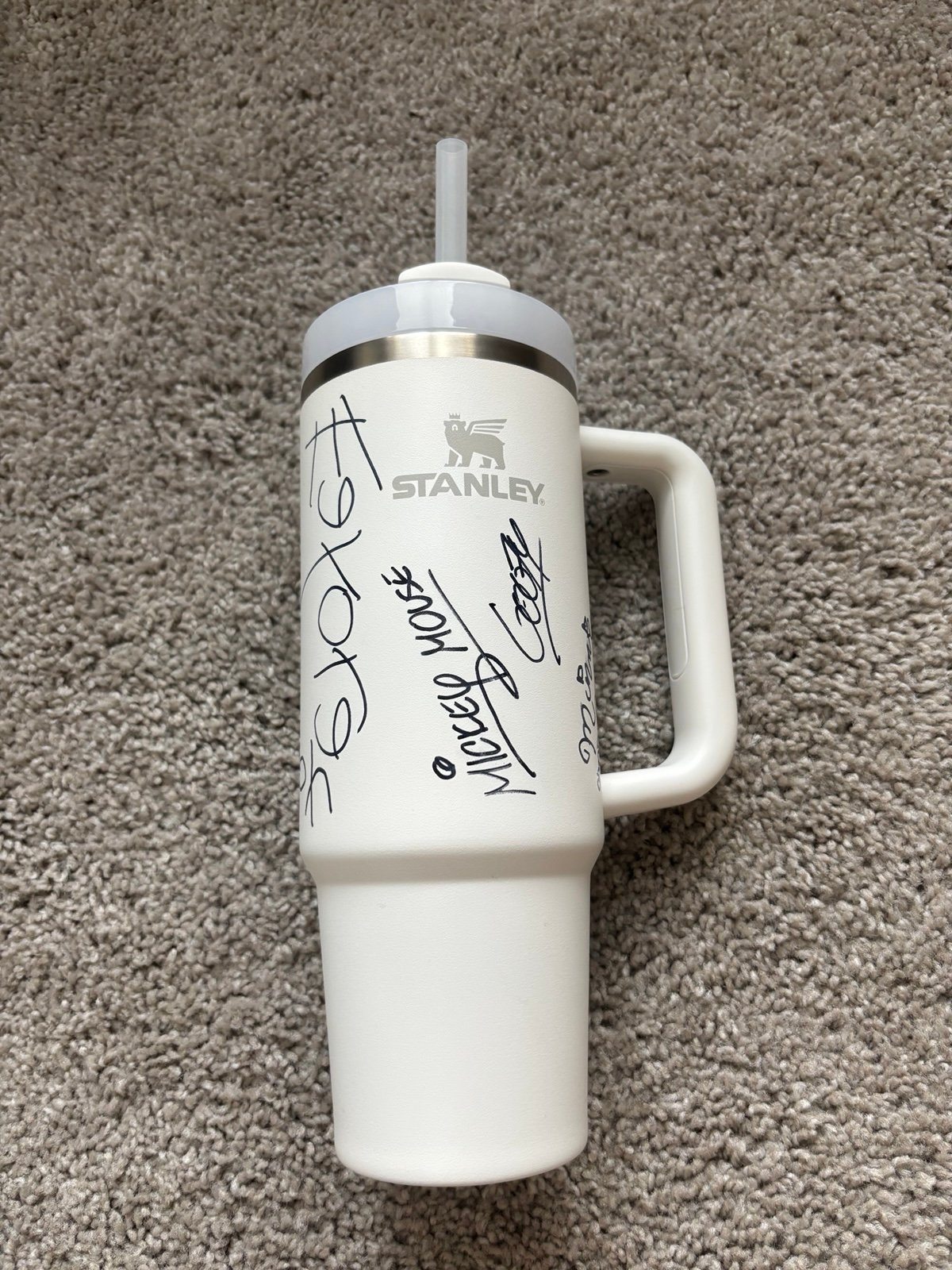 Disney Character Signature Stanley Cup