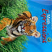 Homeschool 2nd Grade Curriculum Envision Math Scott Foresman Reading Books Lot