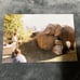 Abstract Canvas Painting 3 Colors by Lea the Elephant from KC ZOO Picture Proof
