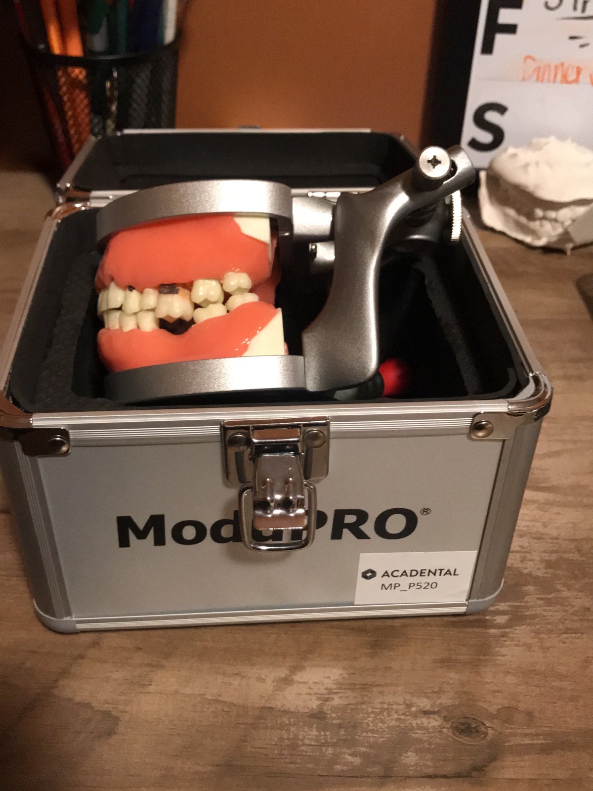 Perio typodont mouth