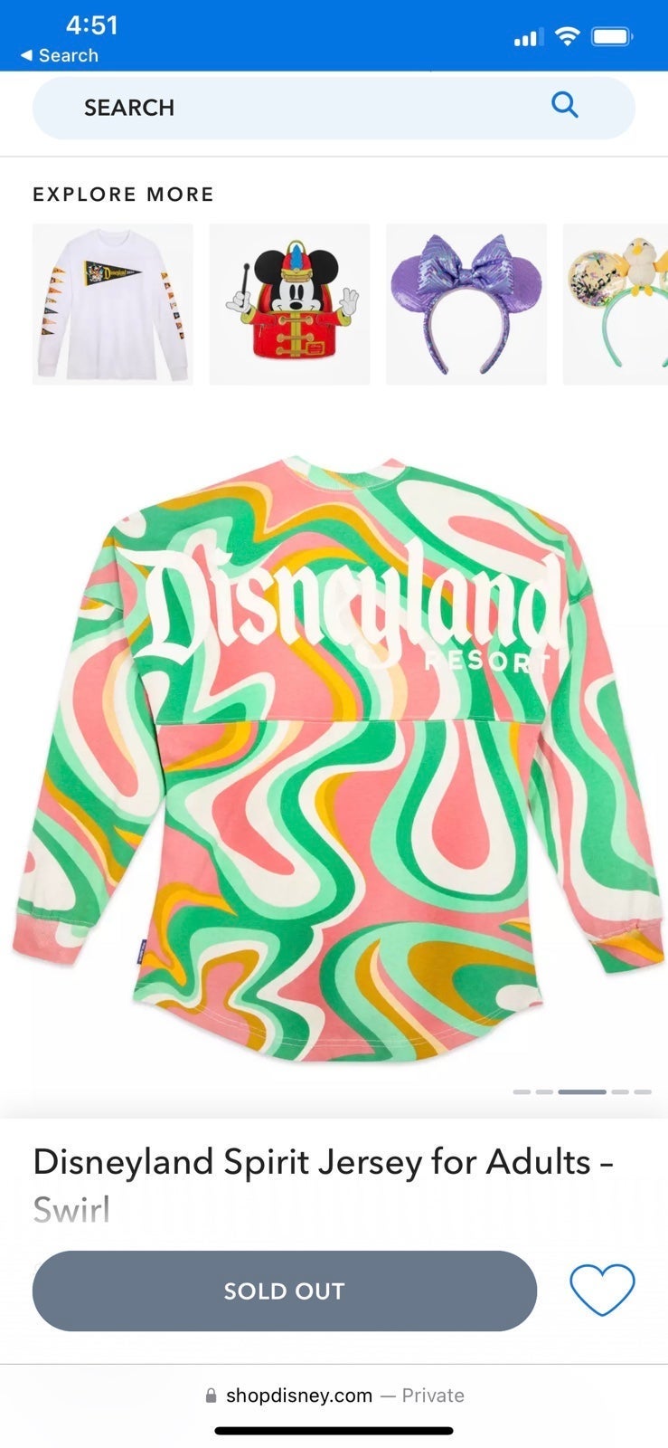 Disneyland Swirl Retro Spirit