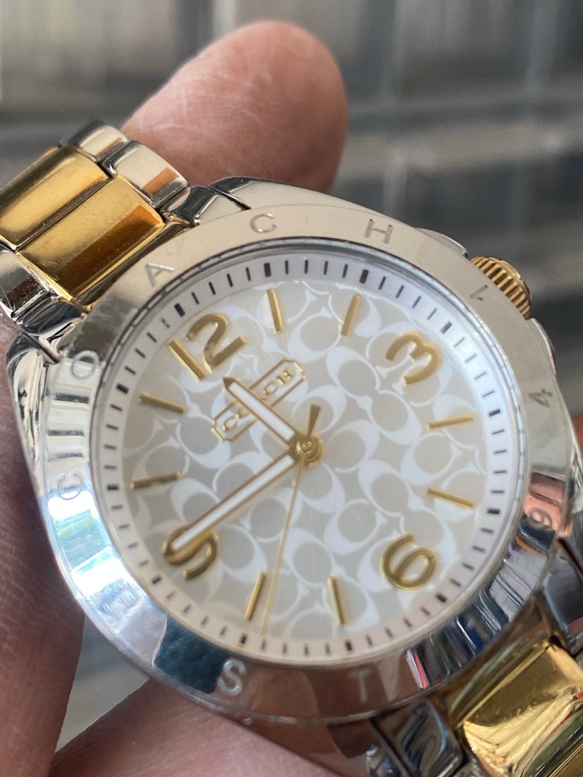 COACH Ladies Watch