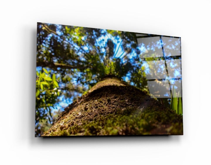 Wall Art Glass Printing