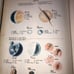 Vintage Webster's Home University Dictionary 1961 Lies In Print