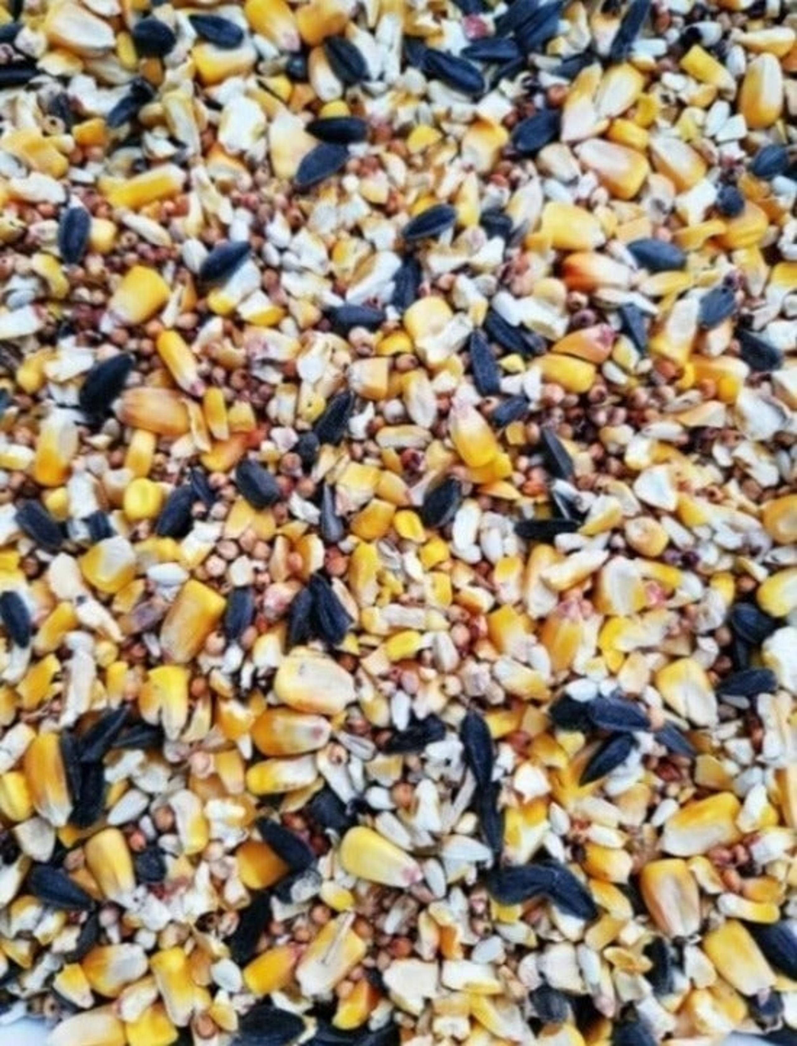Wild Bird Seed Food Feed 5lb Sunflower Corn Cardinal Squirrel Chicken Rabbit