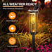 Solar Pathway Lights Outdoor, 8 Pack Solar Powered Garden Lights Waterproof