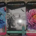 Prismacolor Package