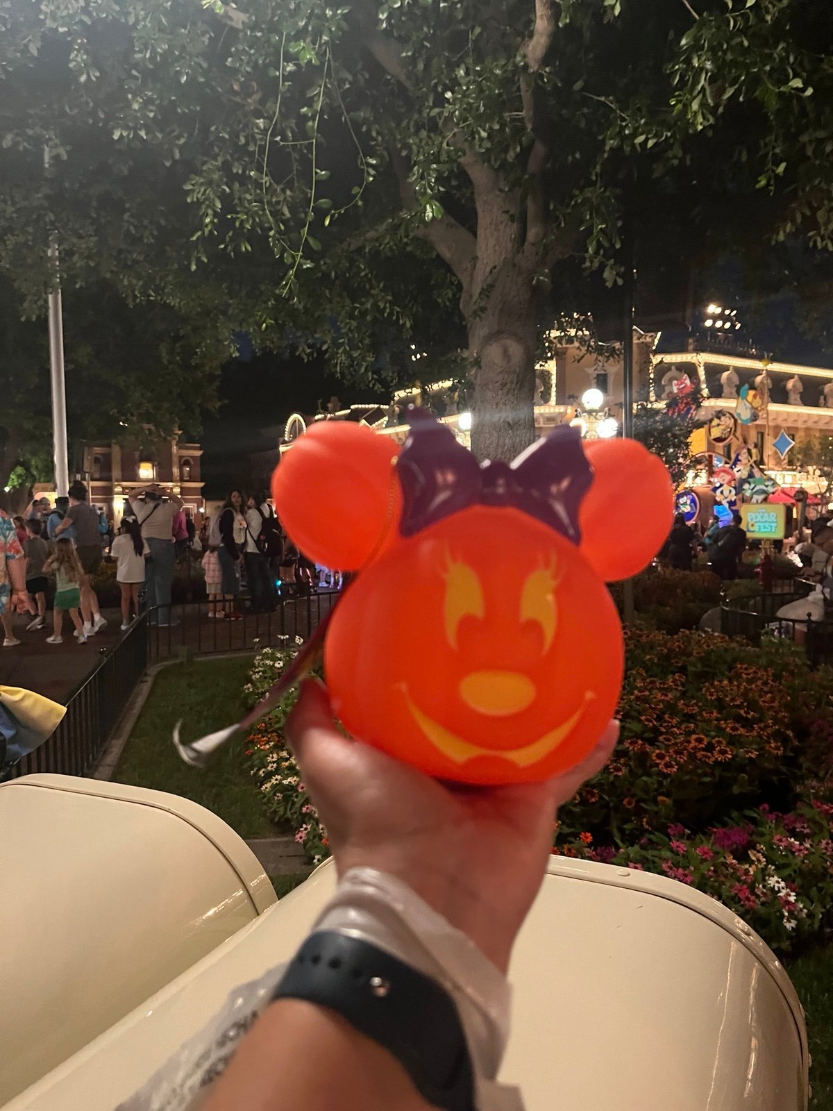 Disney 2024 Minnie Mouse light up pumpkin