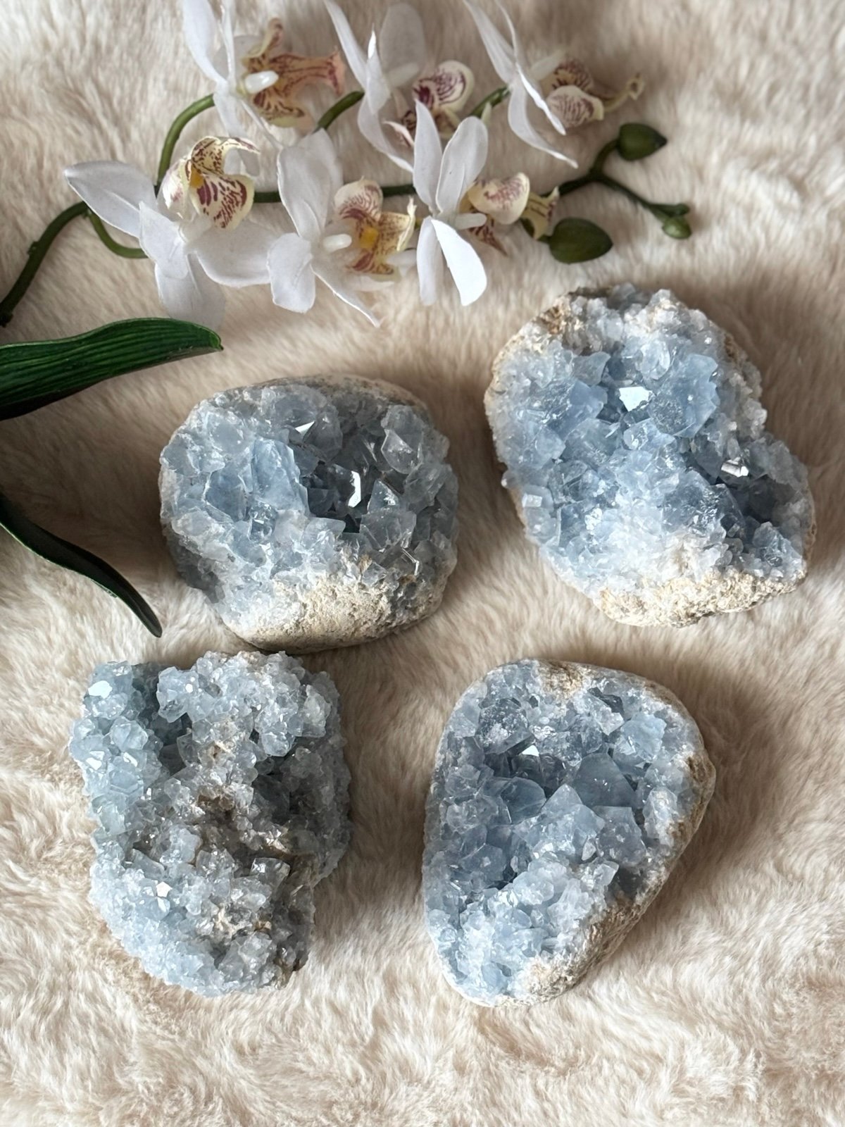 Large Celestite Cluster